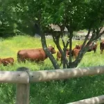 Maison De Charme Authentique Avec Piscine Privee Proche De Cabourg Semesterbostad *