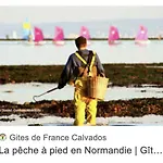 Maison De Charme Authentique Avec Piscine Privee Proche De Cabourg Semesterbostad *