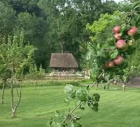 Casa vacanze Maison De Charme Authentique Avec Piscine Privée Proche De Cabourg Périers-en-Auge